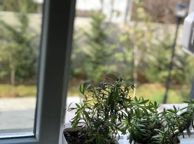 Jon's Duplex 公寓 地拉那