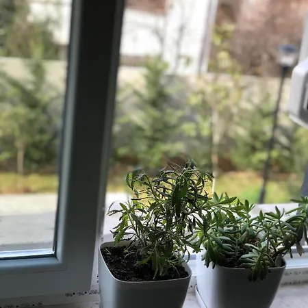 Jon's Duplex Apartment Tirana